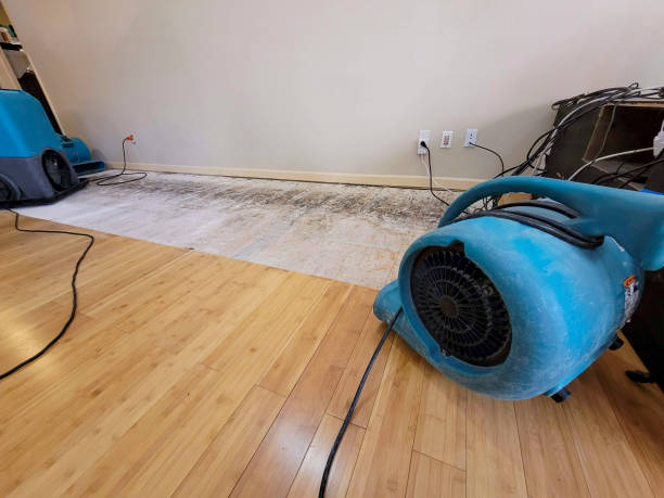 Professional Water Damage Repair technician working in Index, WA